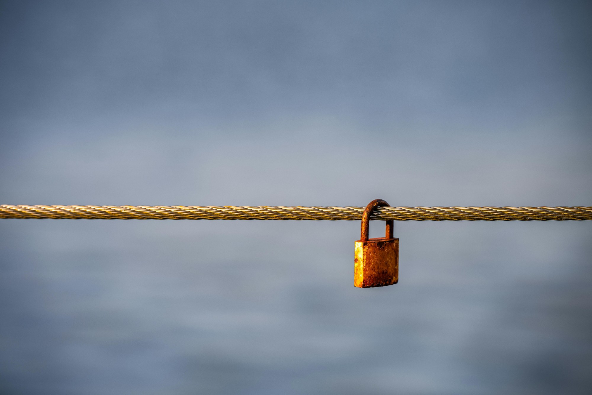 A key to client retention: Consider charitable planning