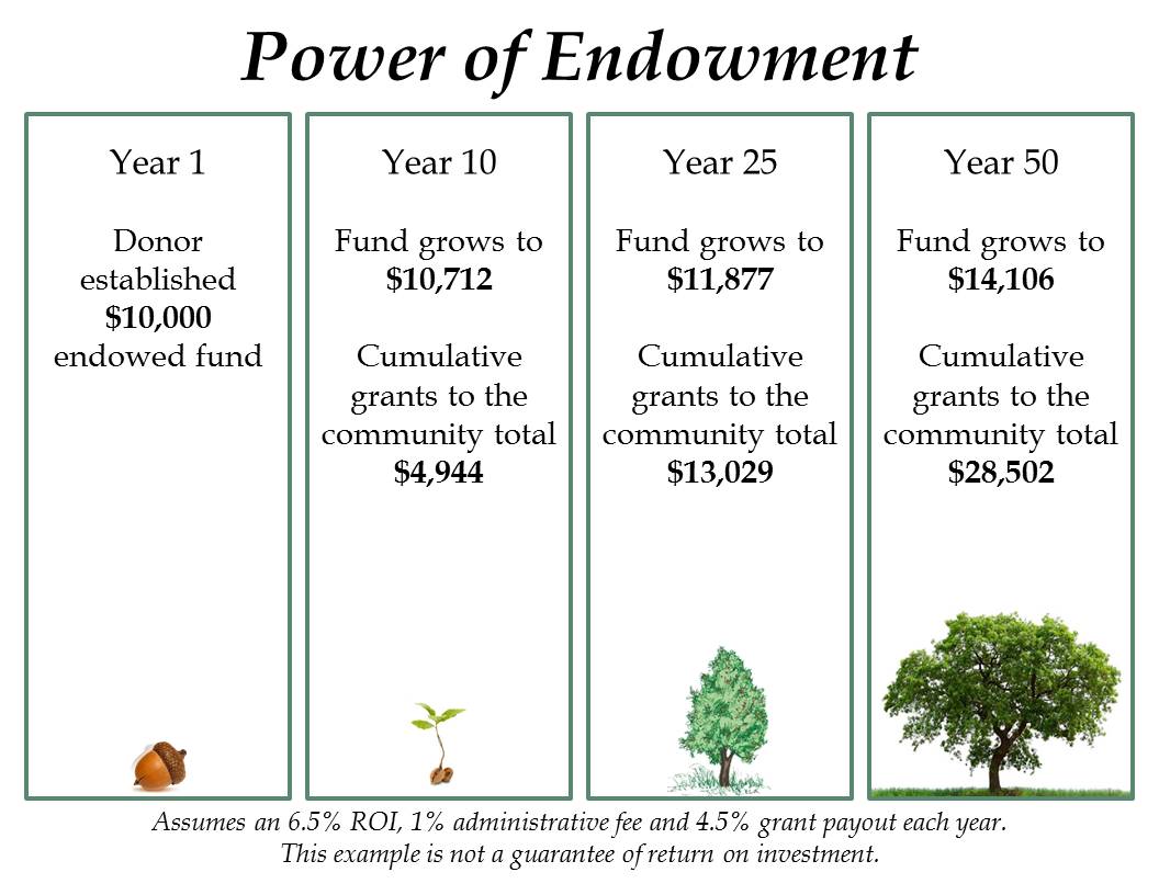 Power of Endowment
